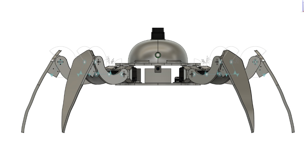 Robotic Device